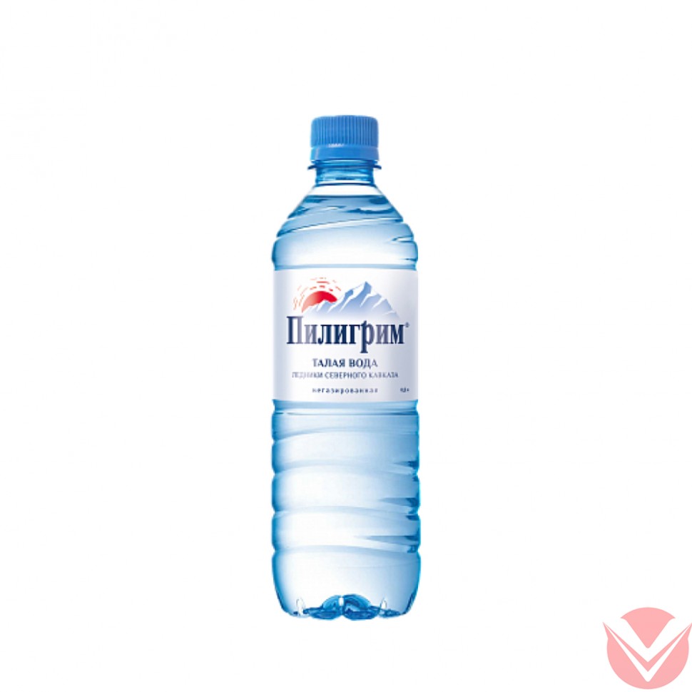 "Пилигрим" 0,5л  негаз ПЭТ фото 1 — Интернет-магазин доставки продуктов и воды ВКУСНЫЙ