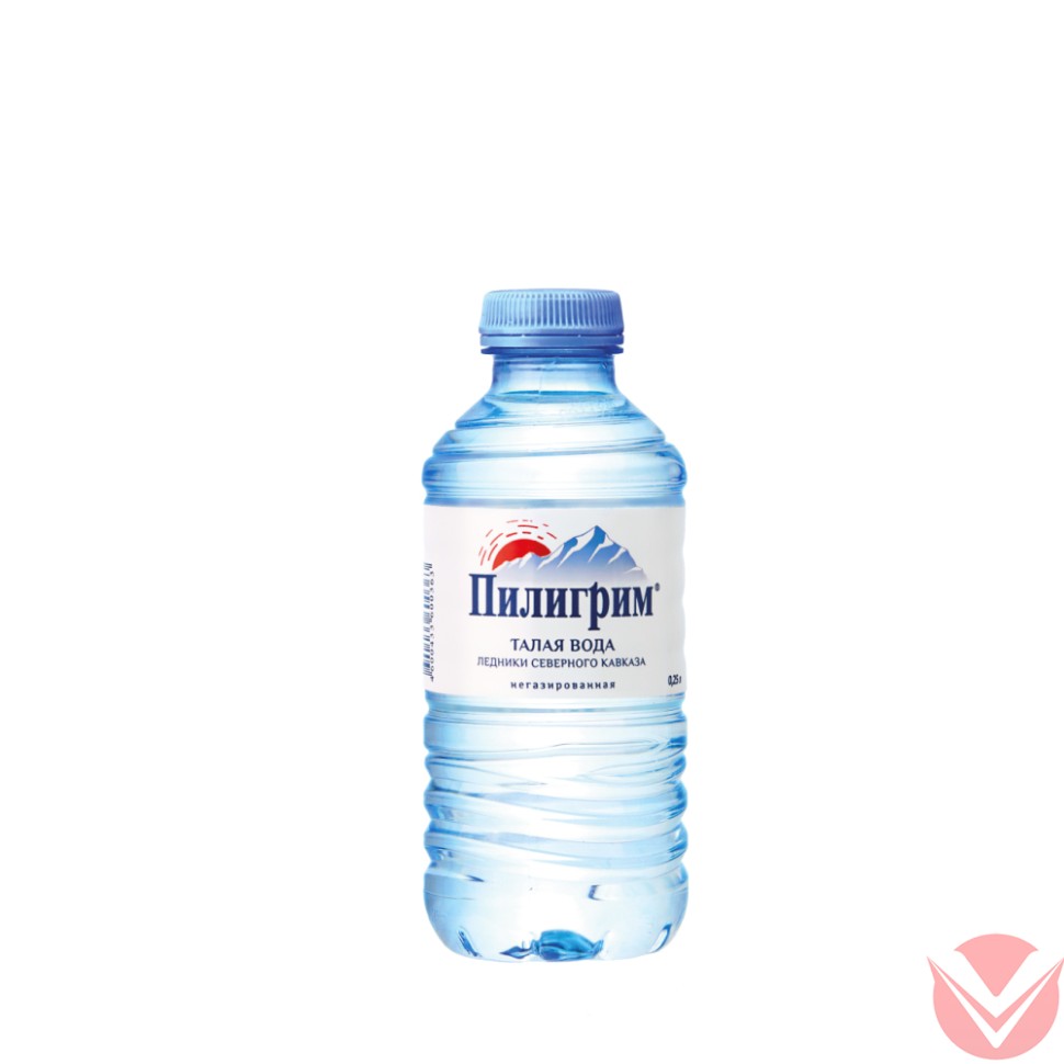 "Пилигрим" 0,25л  негаз ПЭТ фото 1 — Интернет-магазин доставки продуктов и воды ВКУСНЫЙ