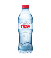 Вода питьевая "Тбау", 0,5 л  (без газа), ПЭТ фото 1 — Интернет-магазин доставки продуктов и воды ВКУСНЫЙ