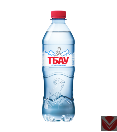 Вода питьевая &quot;Тбау&quot;, 0,5 л  (без газа), ПЭТ — Интернет-магазин доставки продуктов и воды ВКУСНЫЙ