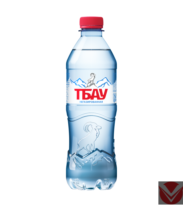 Вода питьевая "Тбау", 0,5 л  (без газа), ПЭТ фото 1 — Интернет-магазин доставки продуктов и воды ВКУСНЫЙ