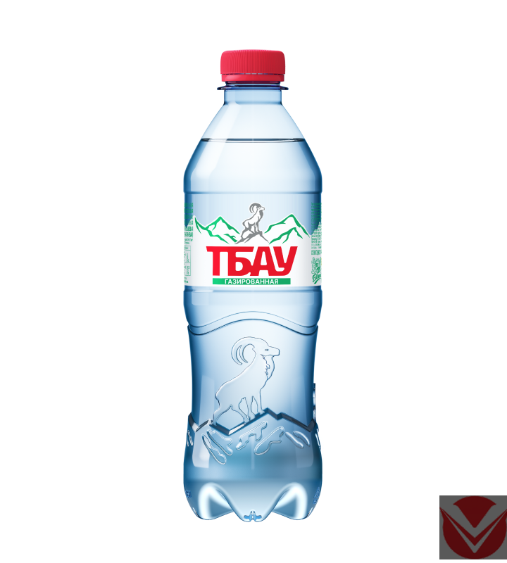 Вода питьевая "Тбау", 0,5 л  (газ), ПЭТ фото 1 — Интернет-магазин доставки продуктов и воды ВКУСНЫЙ