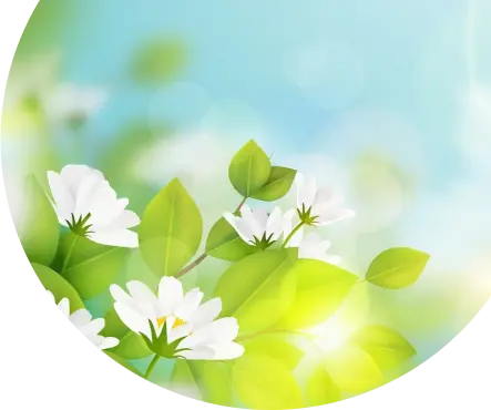 Режим работы в праздничный День России